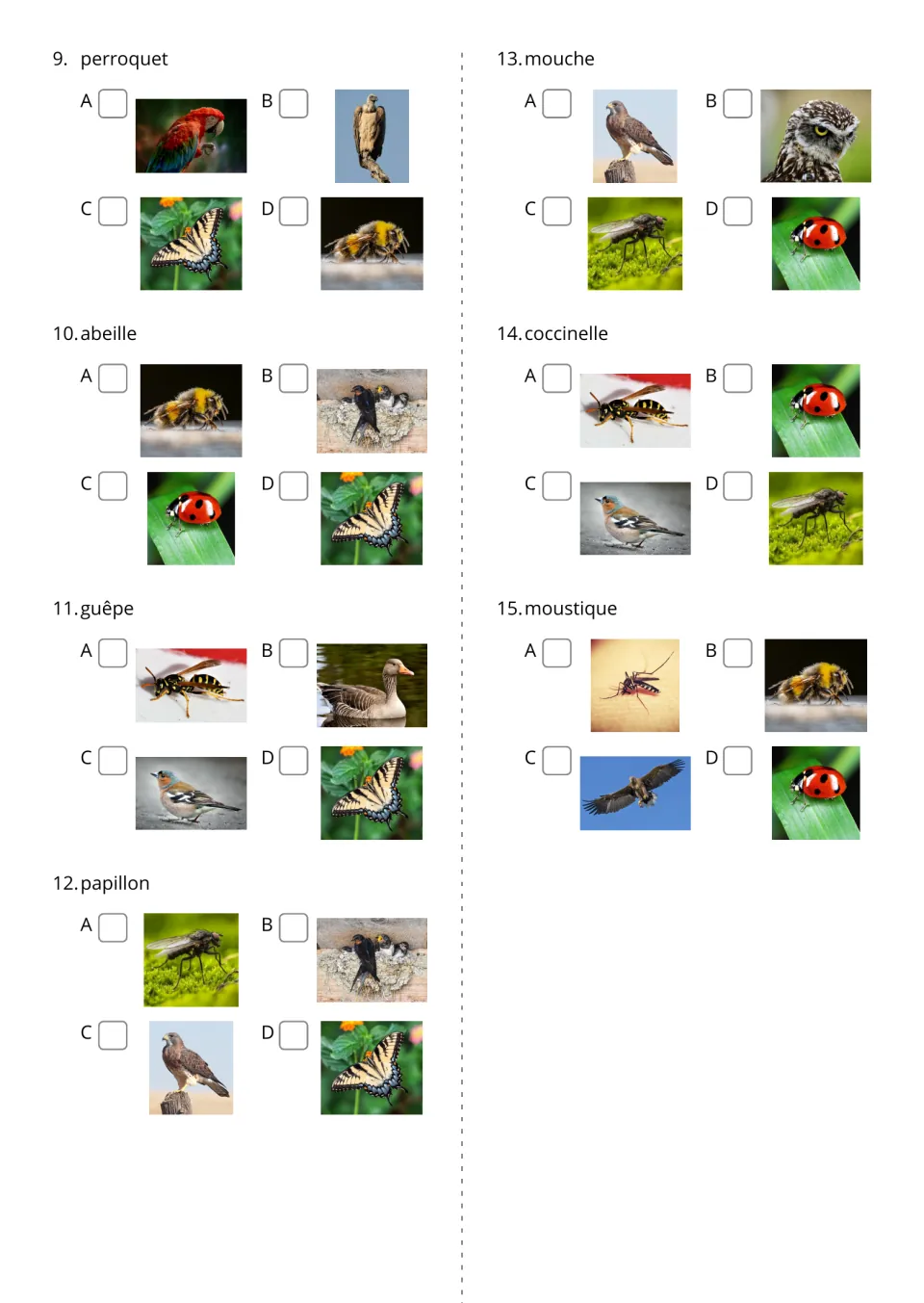 French word-to-picture quiz, items 9–15: choose photos for perroquet (parrot), abeille (bee), and five more