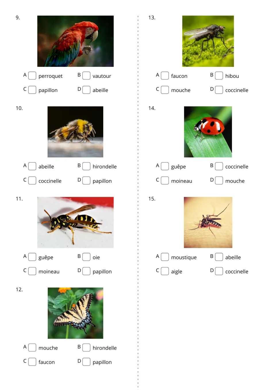 French picture-to-word quiz, items 9–15: identify a parrot, bee, wasp, butterfly, fly, ladybug, and mosquito