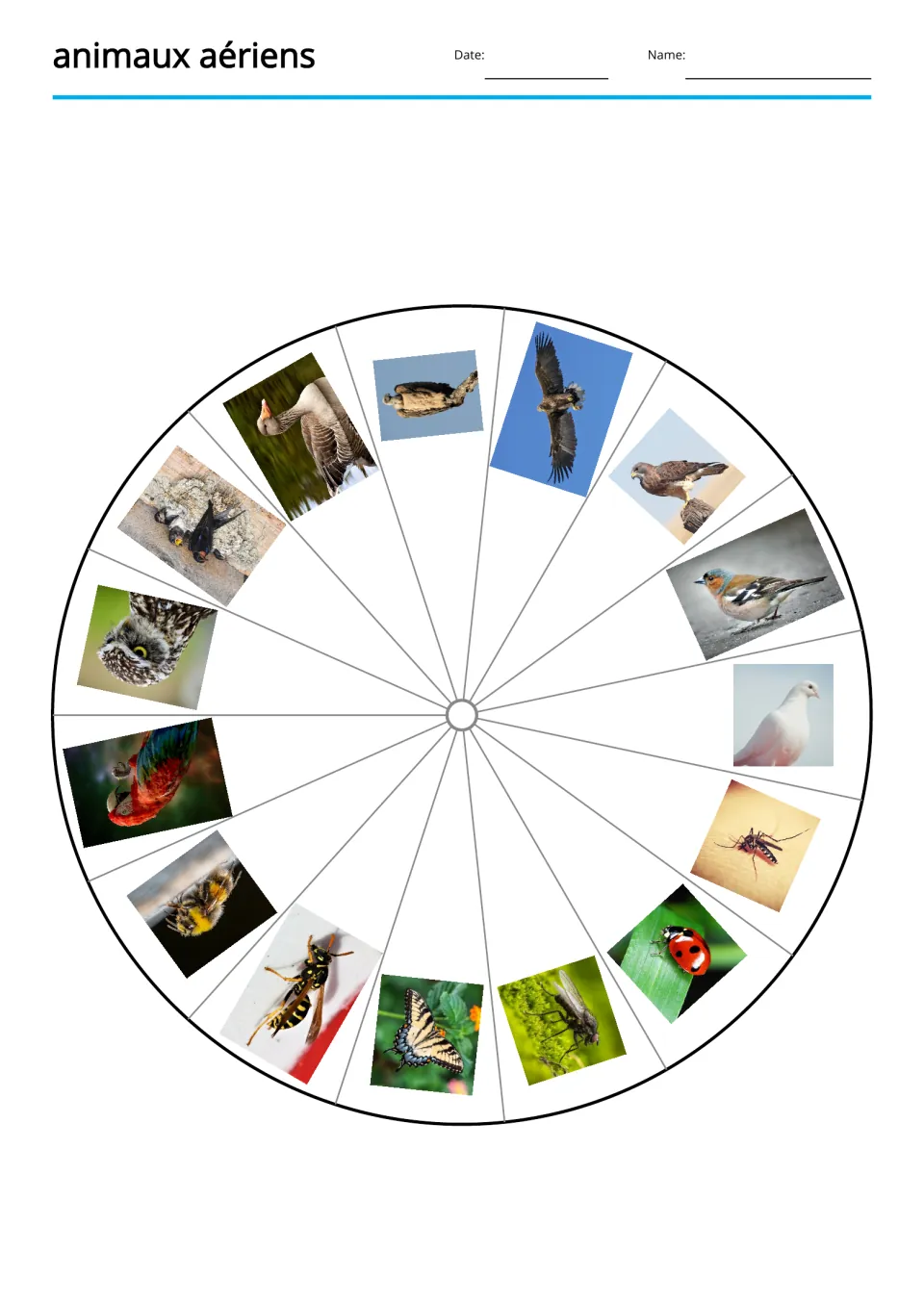 Animal picture wheel paired with the French word wheel, showing 15 photos including an eagle and butterfly