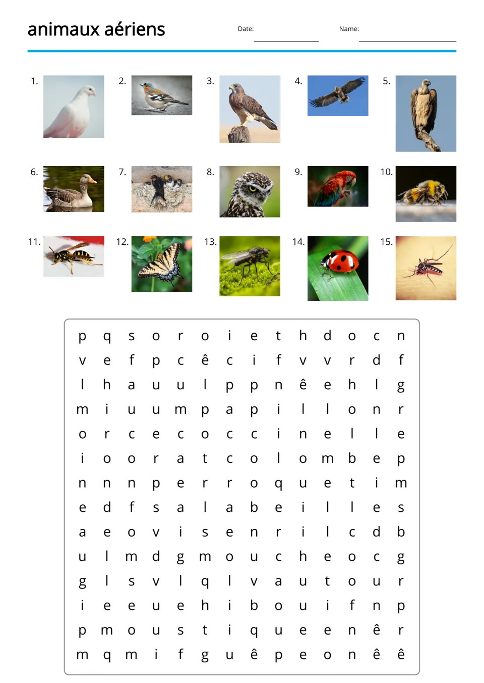 French animal word search with 15 numbered photo clues and hidden words including colombe (dove) and oie (goose)