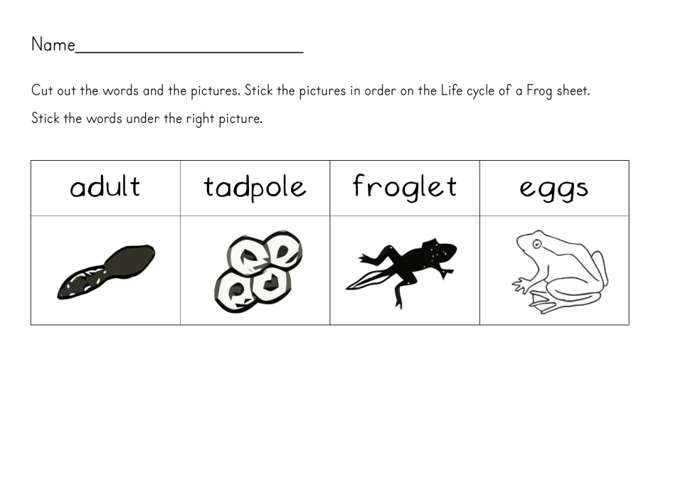Frog life cycle cut-outs: students cut out stage words adult, tadpole, froglet, eggs and four pictures