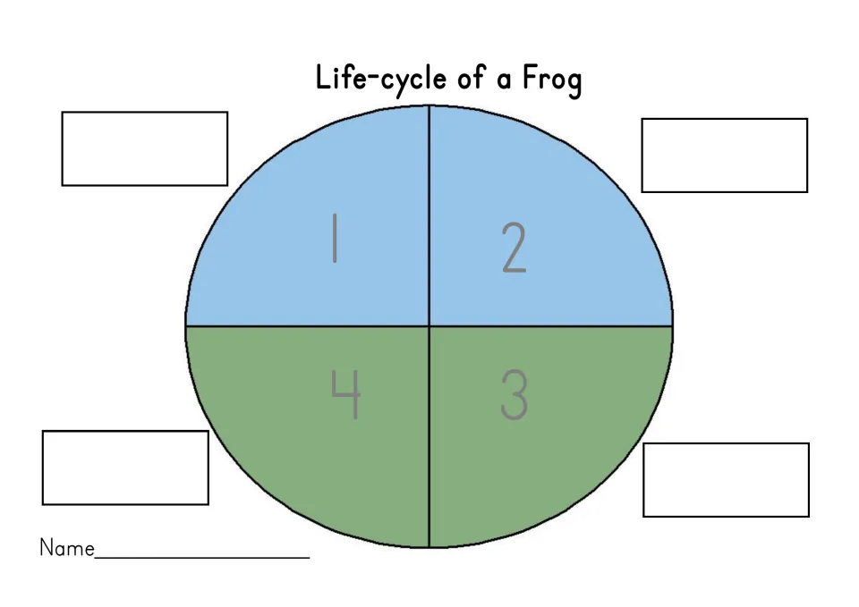 Life-cycle of a Frog circle in quarters 1 to 4: students place each stage in order and write its label