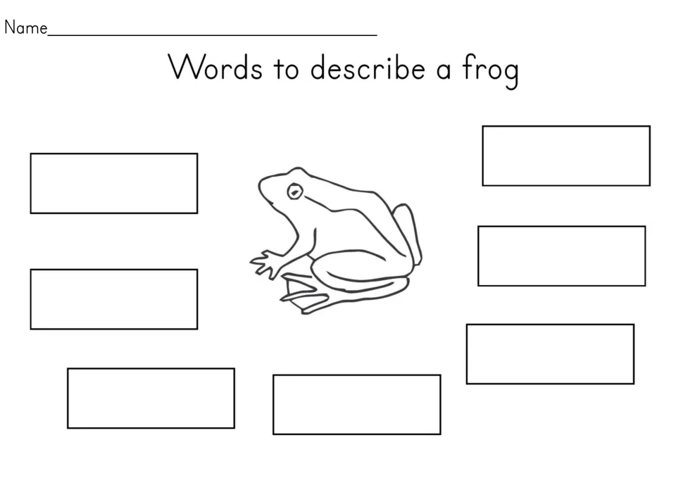 Words to describe a frog: students write seven describing words around an outline drawing of a frog