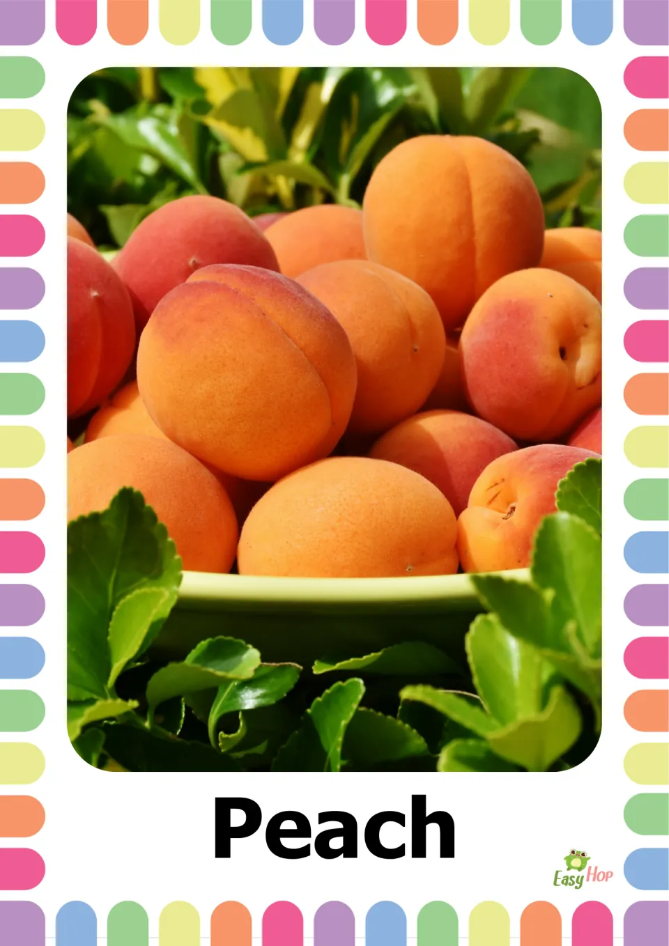 Peach flashcard: a bowl heaped with orange-pink peaches among green leaves, labeled Peach, for fruit vocabulary practice