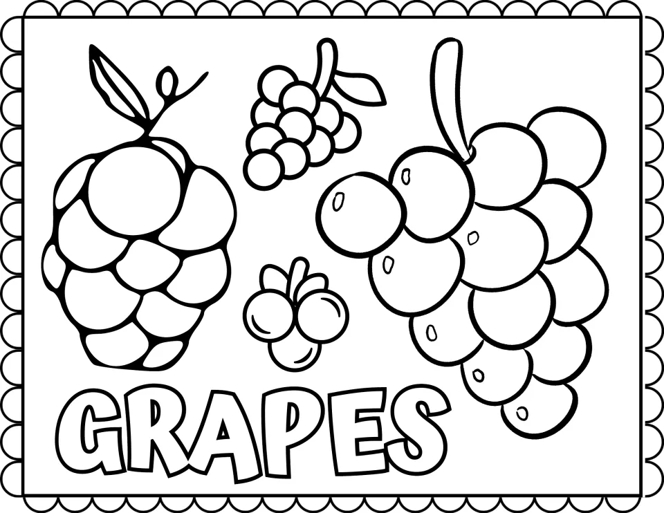Grapes coloring page: students color four grape bunches of different sizes, one with a vine leaf, above the word GRAPES