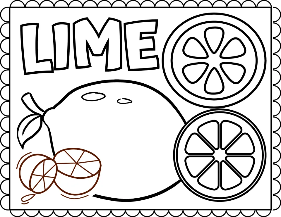 Lime coloring page: students color a large lime with a leaf, two round slices and two cut halves next to the word LIME