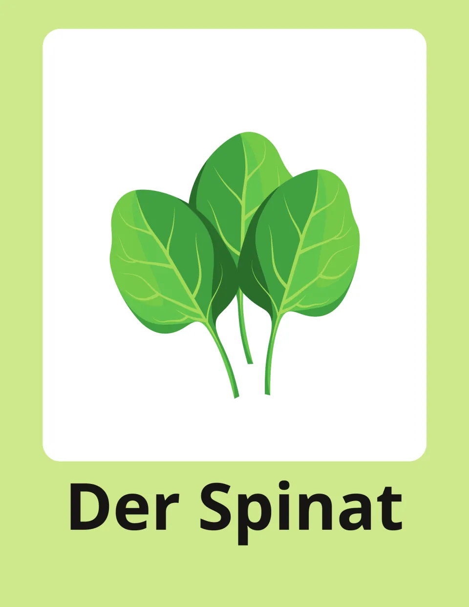 Spinach flashcard in German: Der Spinat labels three green spinach leaves, showing the masculine article der