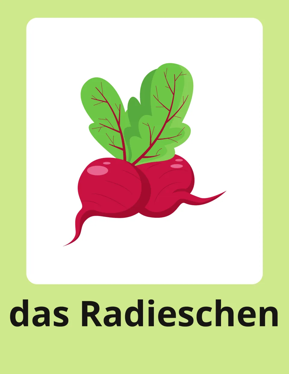 Radish flashcard in German: das Radieschen beneath two red radishes with leaves, a neuter noun with article das