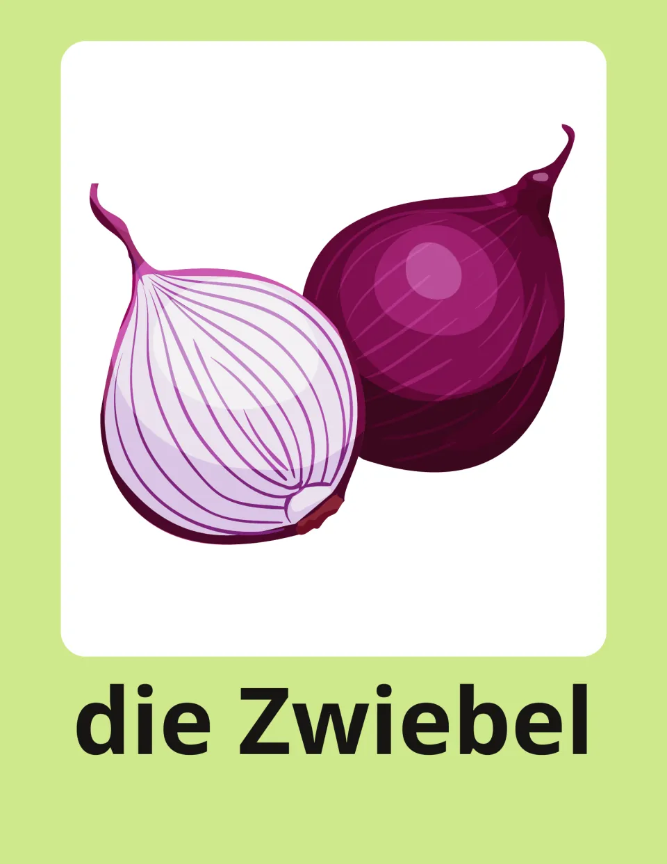 Onion flashcard in German: die Zwiebel under a red onion shown whole and cut in half, for naming the vegetable