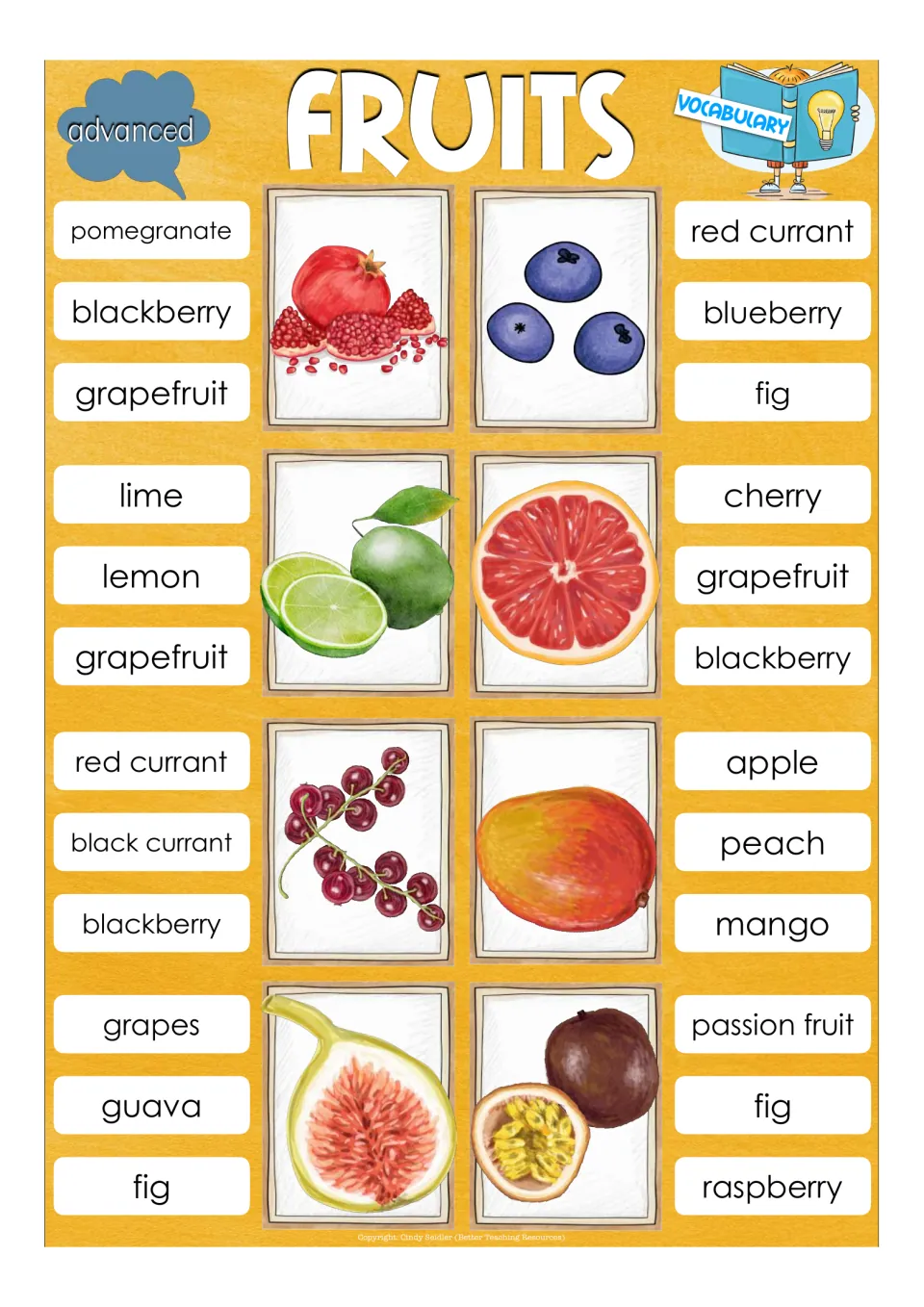 Advanced vocabulary cards naming pomegranate, blueberry, lime, grapefruit, red currant, mango, fig and passion fruit