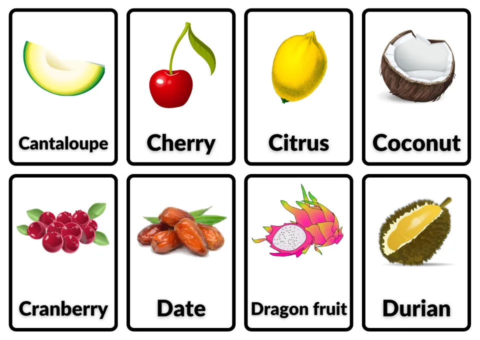 Fruit flashcards 9–16: Cantaloupe, Cherry, Citrus, Coconut, Cranberry, Date, Dragon fruit and Durian