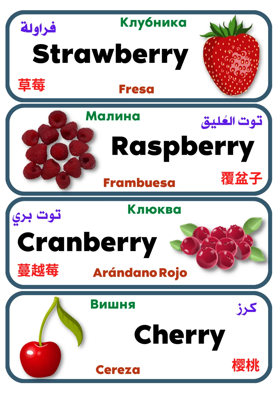Multilingual fruit vocabulary cards 9–12: strawberry, raspberry, cranberry, and cherry, with pictures and translations