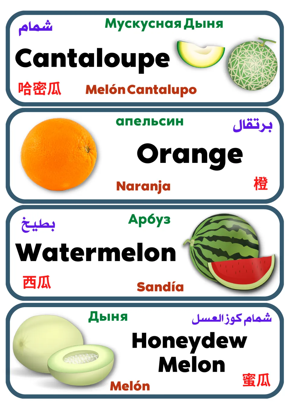 Multilingual fruit vocabulary cards 13–16: cantaloupe, orange, watermelon, and honeydew melon, pictured and translated