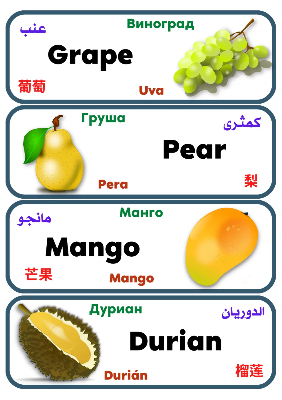 Multilingual fruit vocabulary cards 17–20: grape, pear, mango, and durian, with pictures and names in five languages