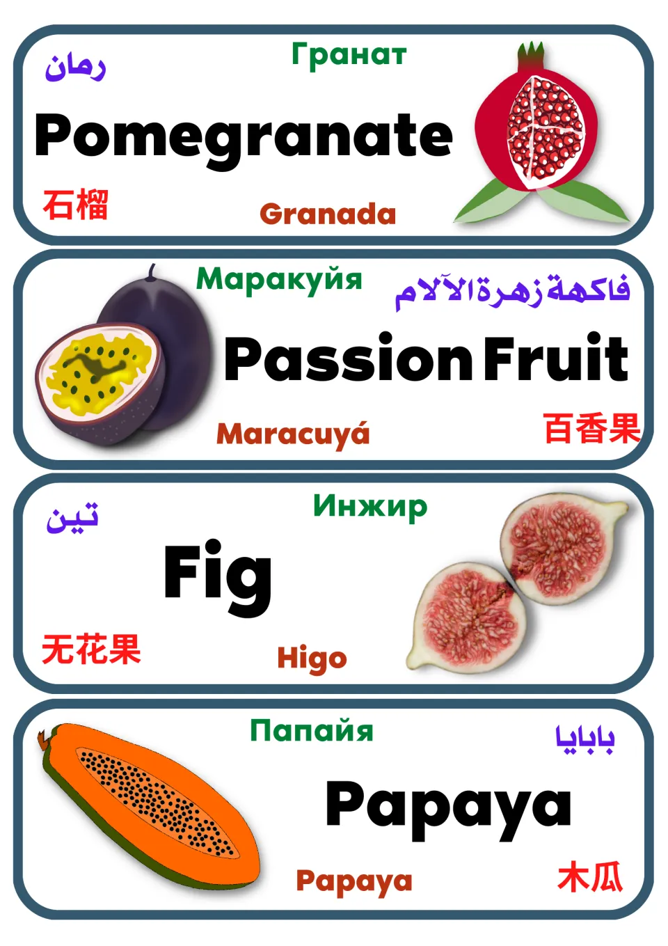 Multilingual fruit vocabulary cards 21–24: pomegranate, passion fruit, fig, and papaya, with pictures and translations