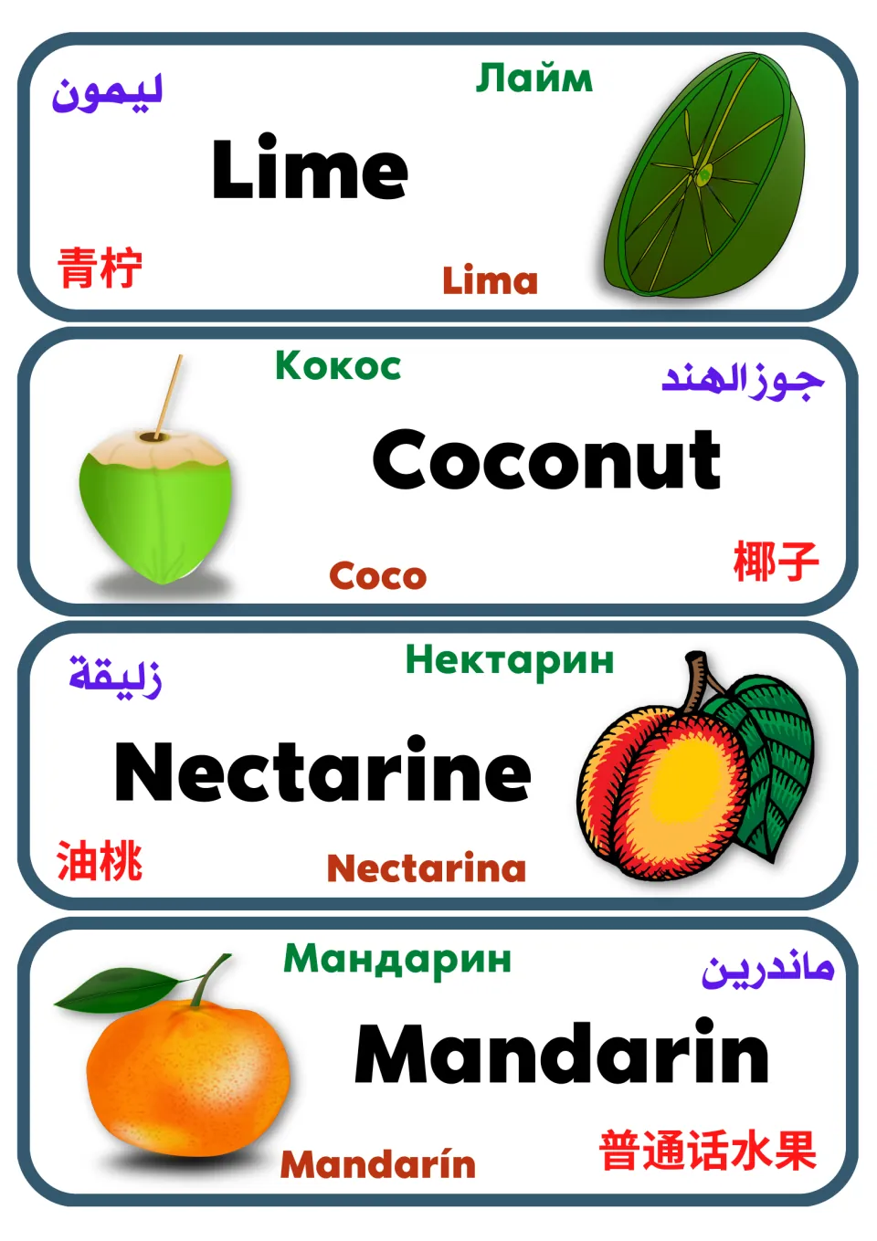 Multilingual fruit vocabulary cards 33–36: lime, coconut, nectarine, and mandarin, with pictures and translations