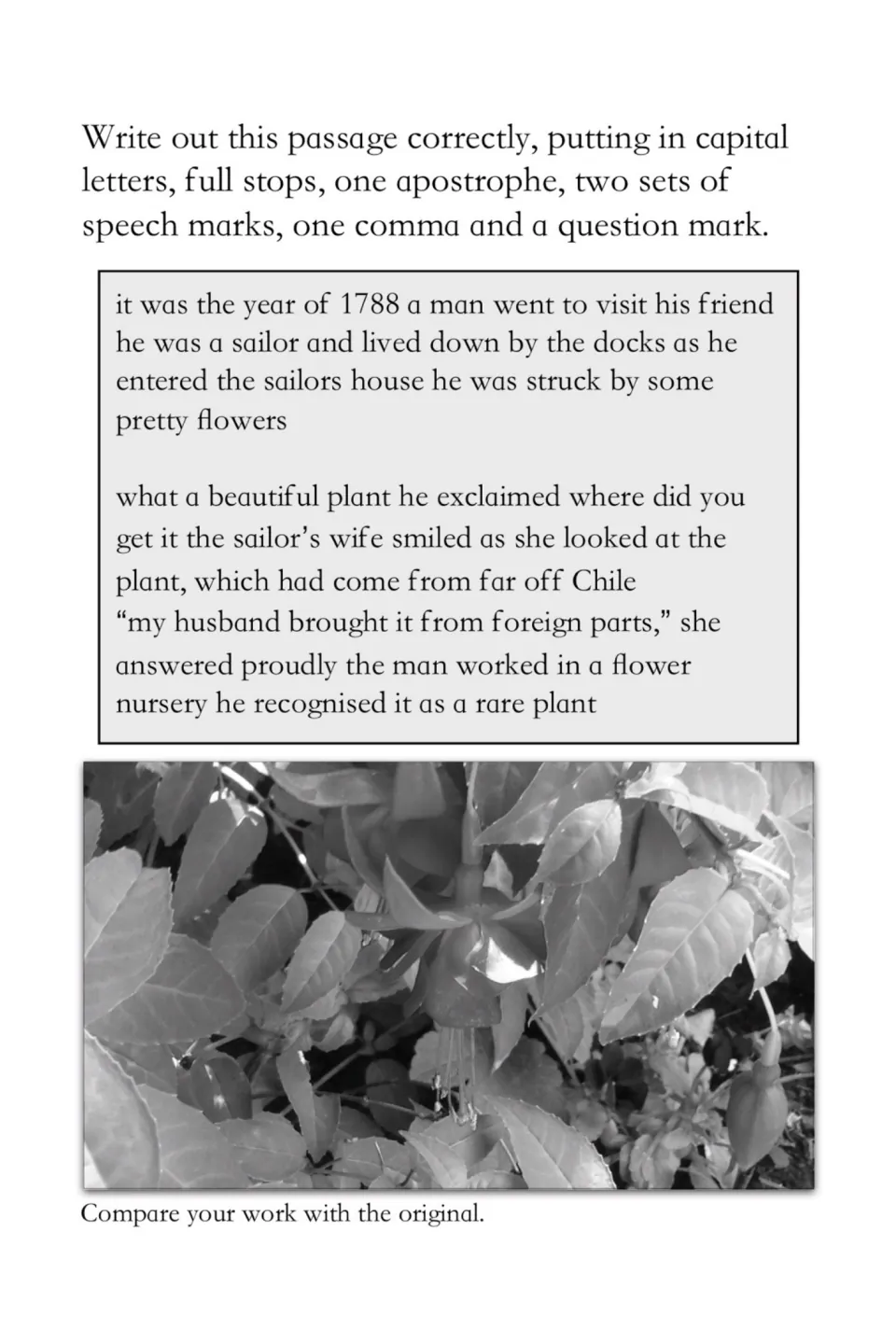 Punctuation editing: rewrite the unpunctuated sailor story with capitals, full stops, speech marks and a question mark