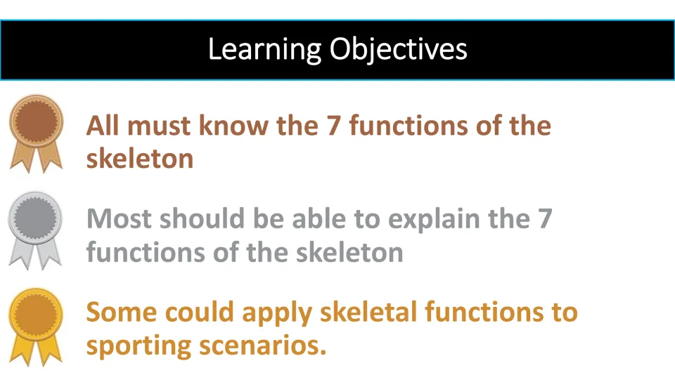 Lesson objectives: know and explain the seven functions of the skeleton and apply them to sporting scenarios