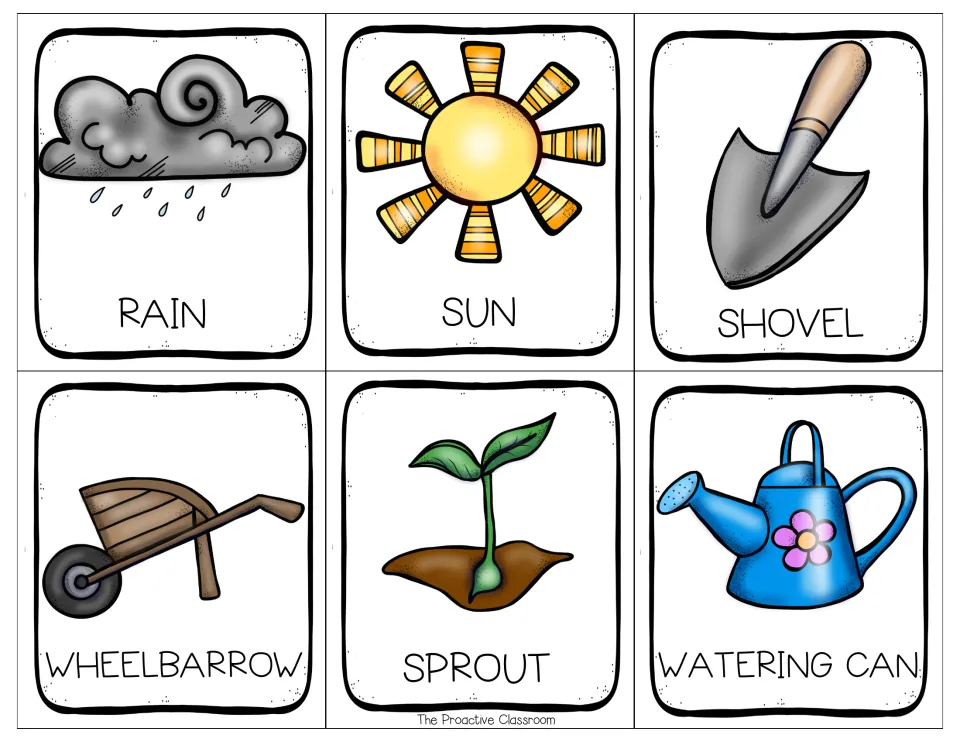 Garden word cards in capitals: RAIN, SUN, SHOVEL, WHEELBARROW, SPROUT and WATERING CAN with a picture on each