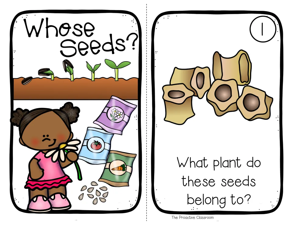 Whose Seeds? mini book cover and page 1: students look at pictured seeds and predict what plant they belong to