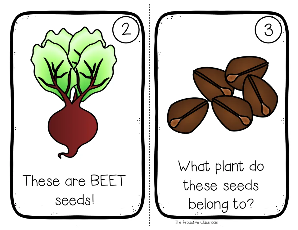Whose Seeds? pages 2 and 3: a beet reveals the first seeds, then brown seeds ask students to predict the next plant
