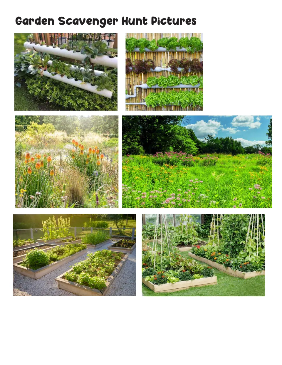 Garden Scavenger Hunt Pictures: six photos of pipe hydroponic walls, wildflower meadows and wooden raised vegetable beds