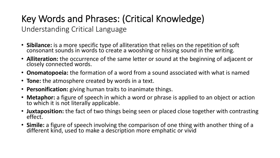 Literary vocabulary slide defining sibilance, alliteration, onomatopoeia, tone, and four more analysis terms