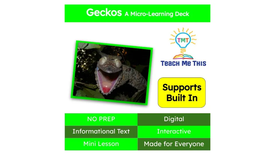 Cover of the gecko micro-learning deck, identifying a digital mini lesson with informational text and supports