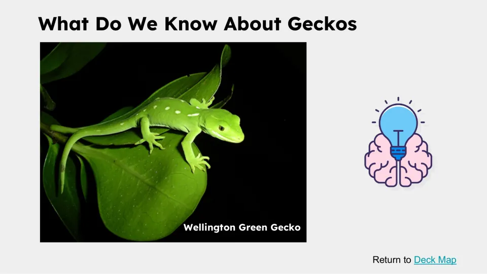 Prior-knowledge follow-up slide titled 'What Do We Know About Geckos' with a labeled Wellington green gecko
