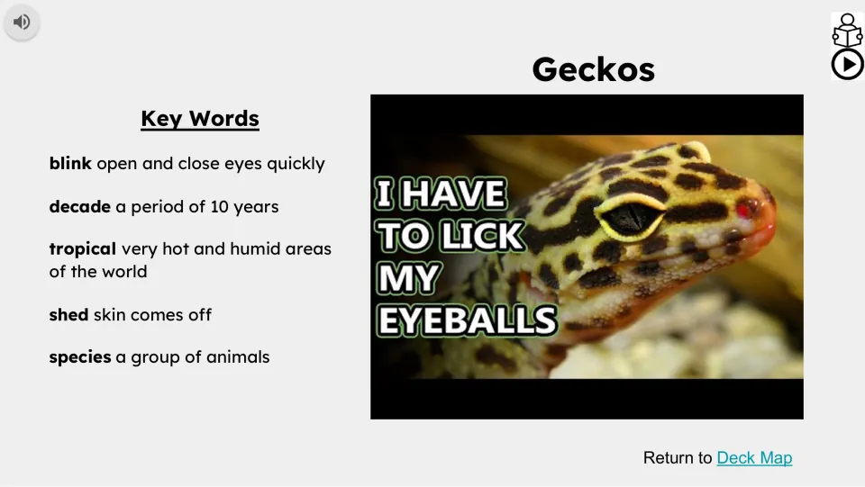 Vocabulary and video slide defining blink, decade, tropical, shed, and species beside a gecko video thumbnail