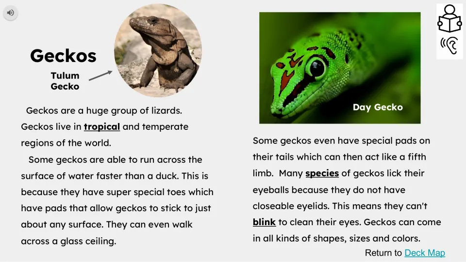 Gecko reading passage covering habitats, movement on water, gripping toes and tails, and eye cleaning