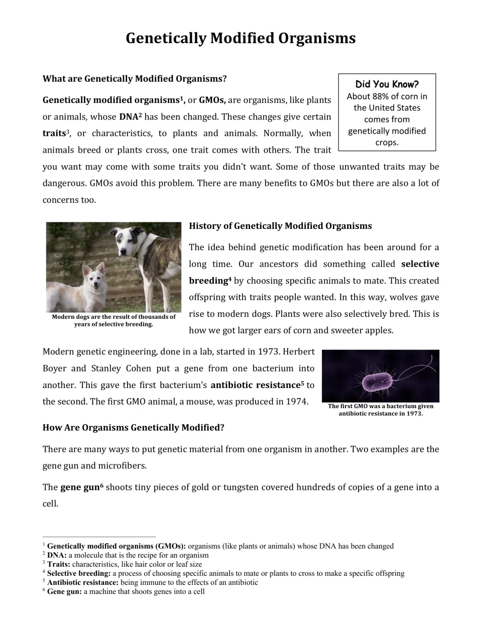 GMO article opening: students read what GMOs are, their history from selective breeding to 1973, and how a gene gun works