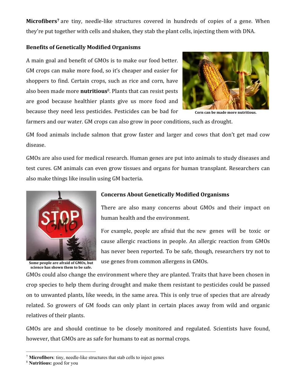 GMO benefits and concerns: students read about microfibers, more nutritious crops, medical uses, allergy fears and weeds