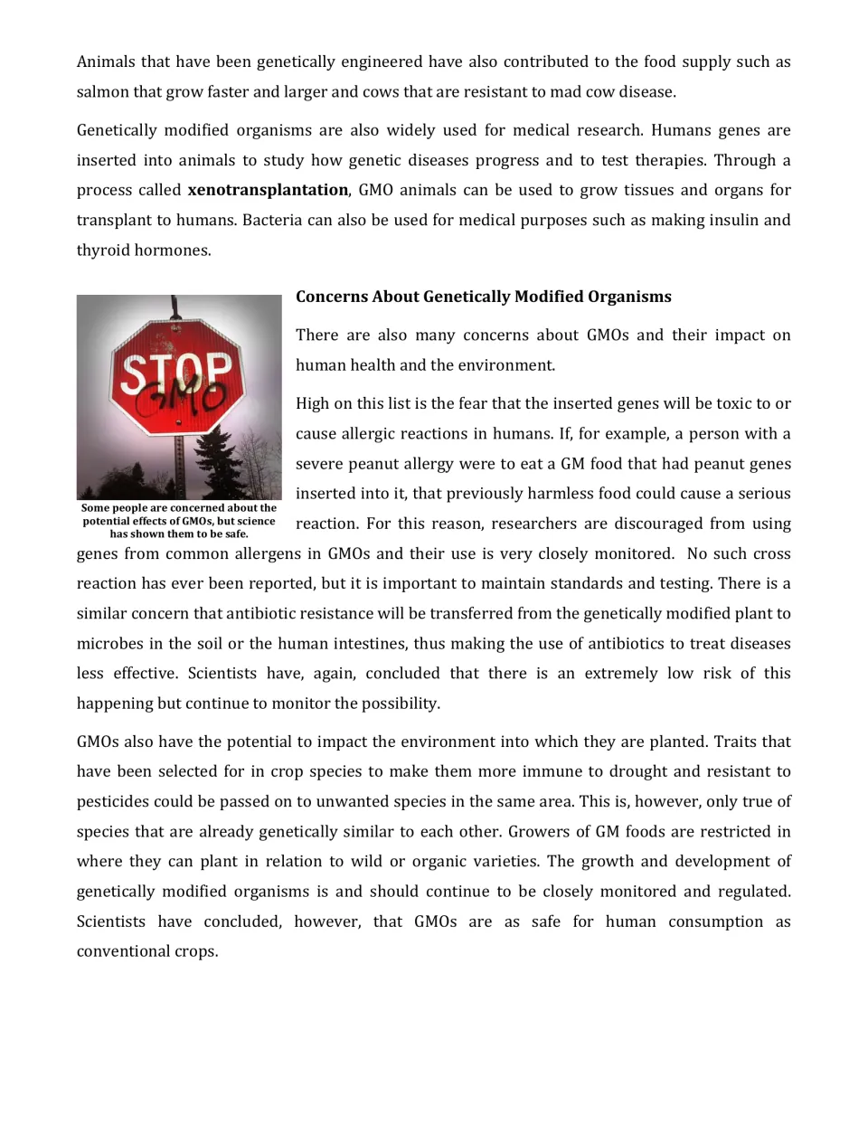 GMO uses and concerns: students read about xenotransplantation, allergy and antibiotic resistance risks, and gene spread