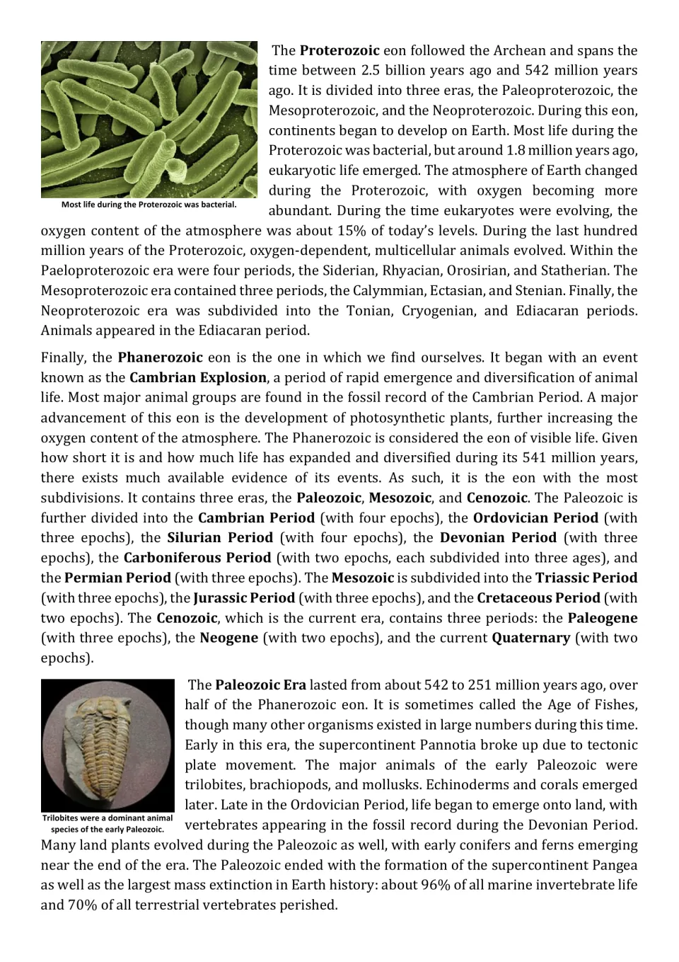 Reading part 4: Proterozoic and Phanerozoic eons, the Cambrian Explosion, and life during the Paleozoic Era