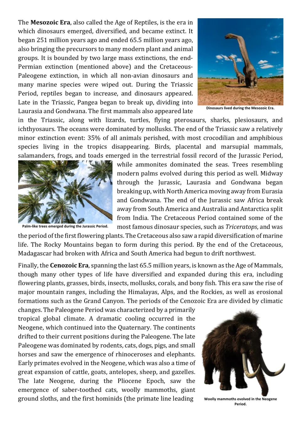 Reading part 5: Mesozoic and Cenozoic eras, dinosaur and mammal evolution, and changes in Earth's continents