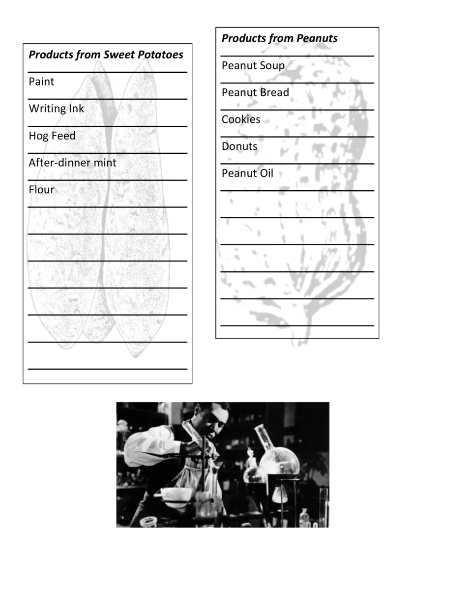 Lapbook research lists start with five sweet potato products and five peanut products for students to expand.
