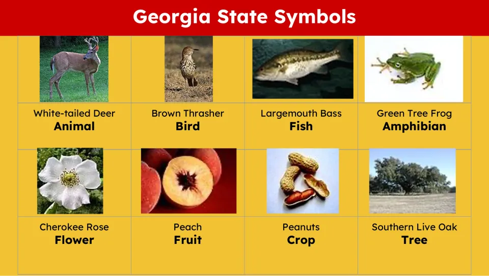 State symbols slide pairing eight photos with labels, including white-tailed deer, brown thrasher, and peach