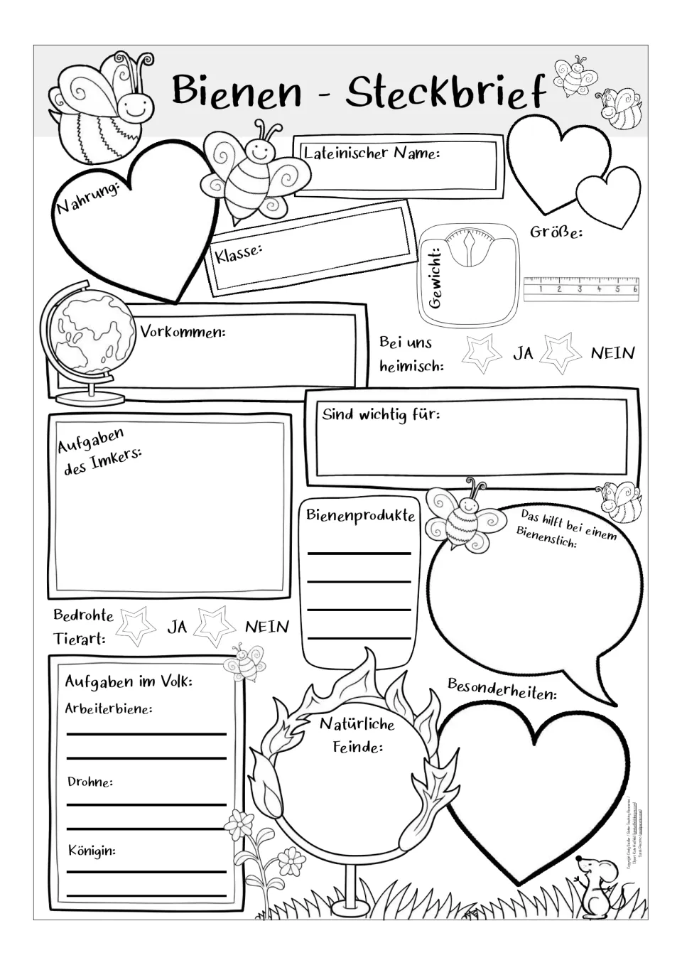 German bee profile worksheet: Nahrung (food), Größe (size), bee products, colony roles, and natural enemies.