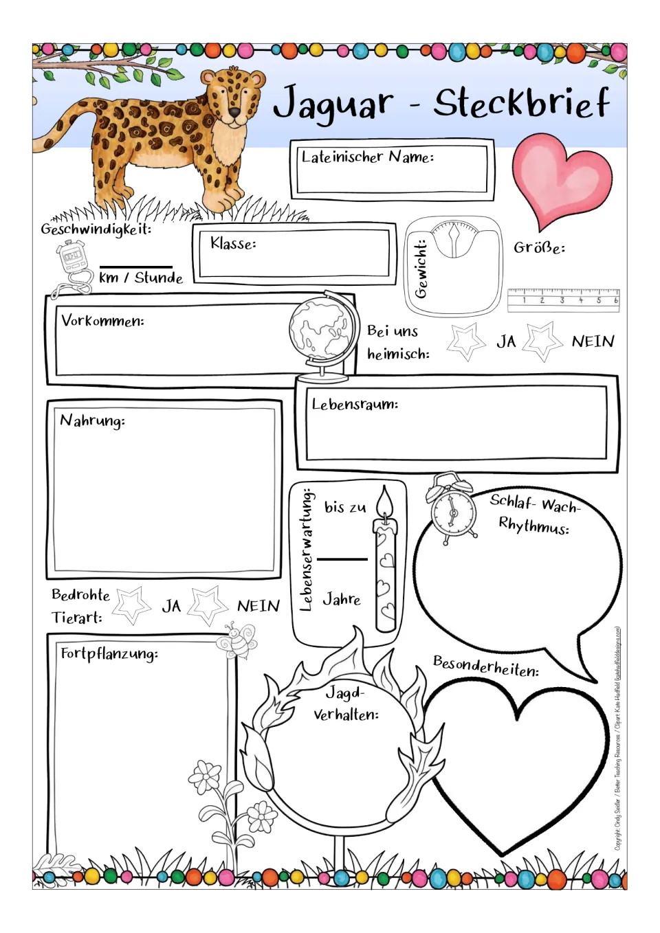 German jaguar profile, color version: prompts for scientific name, habitat, diet, lifespan, and hunting behavior
