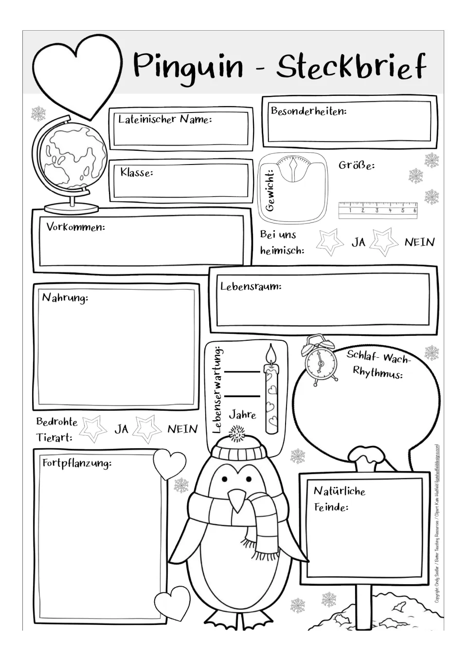 Black-and-white German penguin profile worksheet asking for class, size, weight, lifespan, and sleep patterns