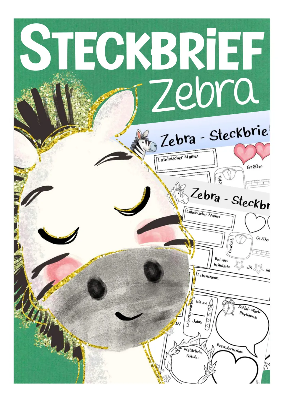 Cover of the German zebra fact sheet resource, titled 'Steckbrief Zebra' (Zebra Profile), with samples.