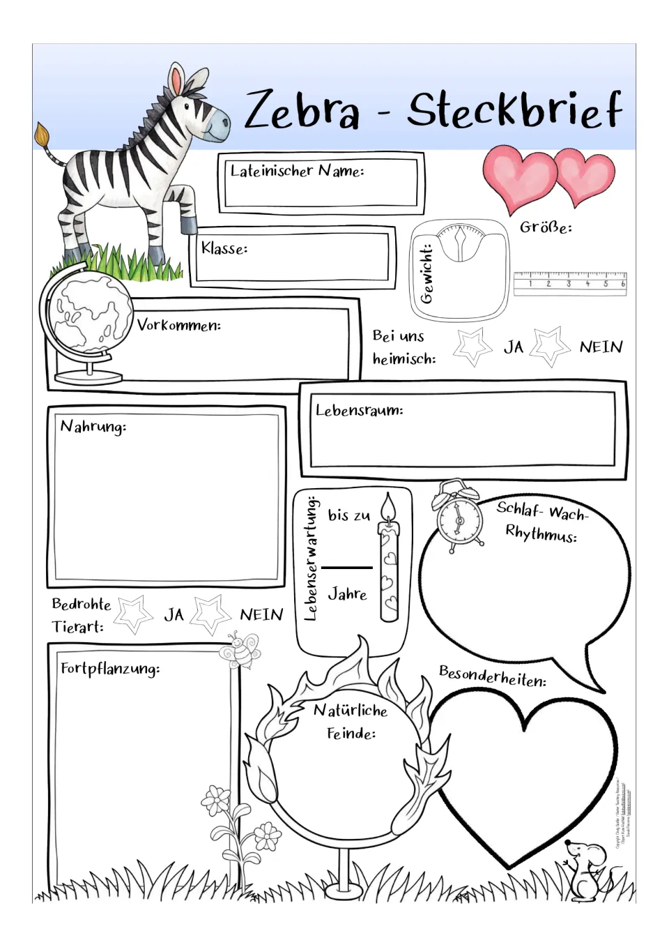Color version of the German zebra fact sheet: scientific name, class, range, diet, habitat, and traits.