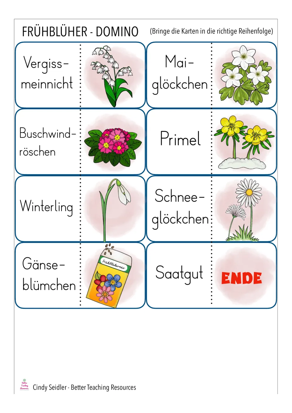 Final eight domino cards, from Vergissmeinnicht (forget-me-not) to Saatgut (seeds), ending with Ende.