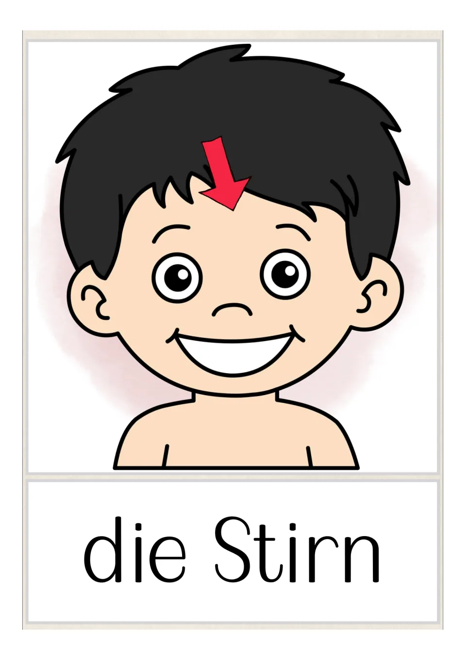 German body-part flashcard labeled 'die Stirn' (forehead), with a red arrow pointing to a child's forehead