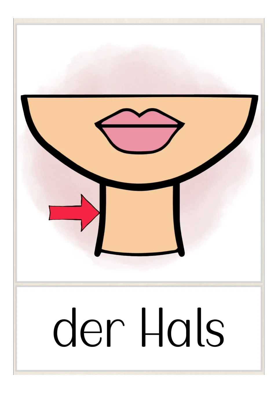 German body-part flashcard labeled 'der Hals' (neck), with a red arrow pointing to the side of the neck