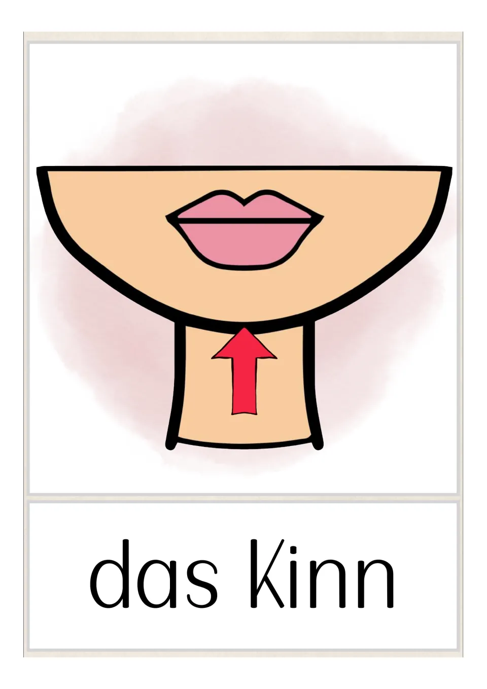 German body-part flashcard labeled 'das Kinn' (chin), with a red arrow pointing upward to the chin