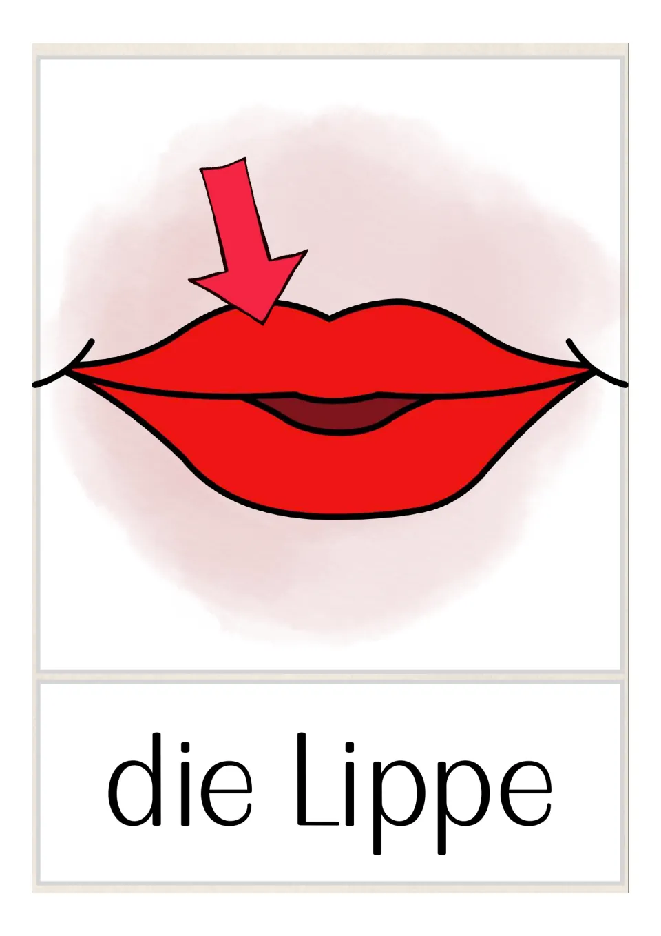 German body-part flashcard labeled 'die Lippe' (lip), with a red arrow pointing to the upper lip