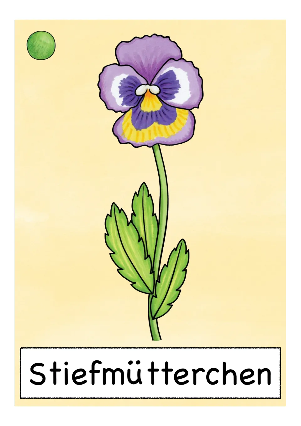 German flower vocabulary card labeled 'Stiefmütterchen' (pansy), showing a purple and yellow flower