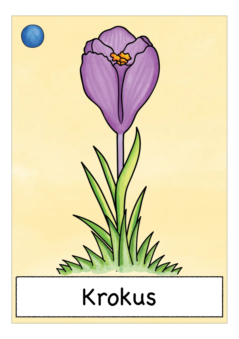 German flower vocabulary card labeled 'Krokus' (crocus), showing a purple bloom above narrow green leaves